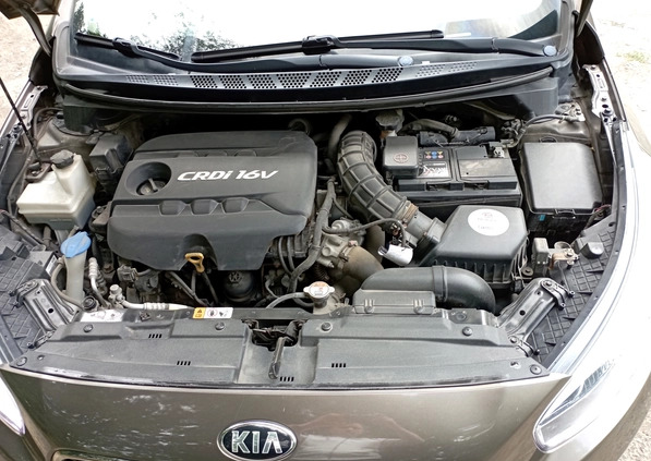 Kia Ceed cena 42000 przebieg: 120000, rok produkcji 2013 z Bydgoszcz małe 562